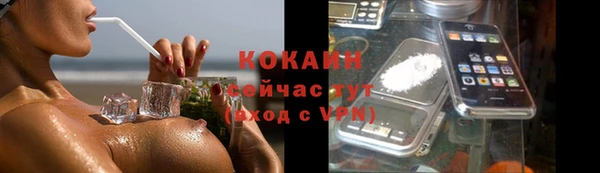 меф Арсеньев