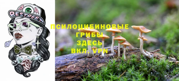 ПСИЛОЦИБИНОВЫЕ ГРИБЫ Армянск