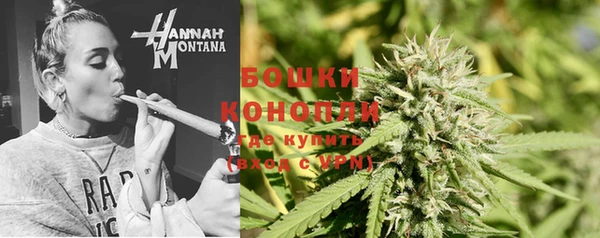 ПСИЛОЦИБИНОВЫЕ ГРИБЫ Армянск